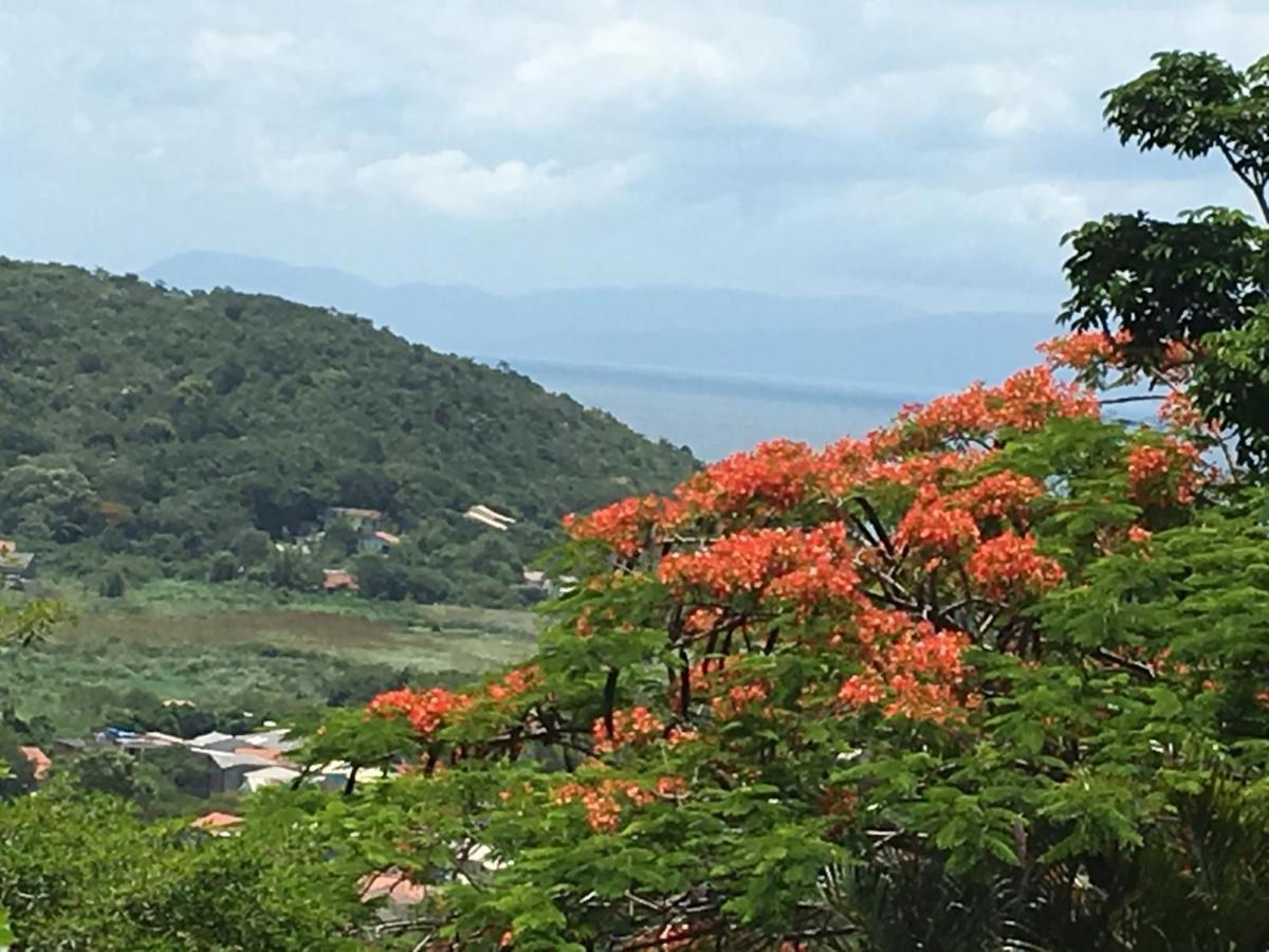 Florianópolis Pousada Villabella Villaggio מראה חיצוני תמונה