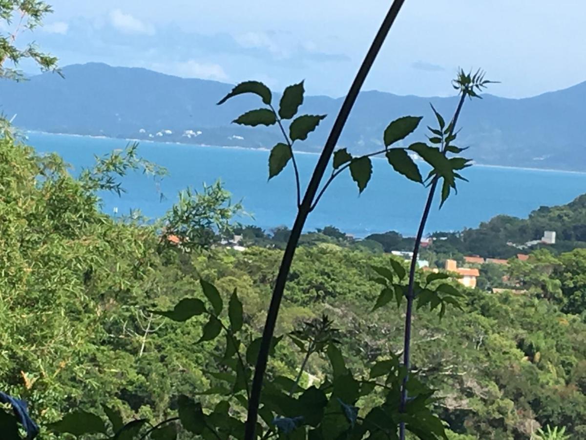 Florianópolis Pousada Villabella Villaggio מראה חיצוני תמונה